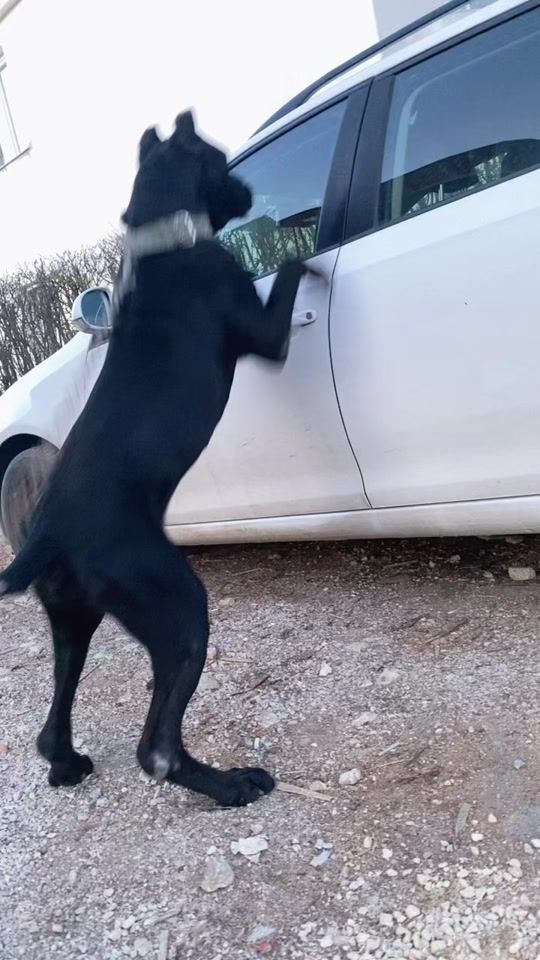 TikTok video thumbnail by kingneroo4