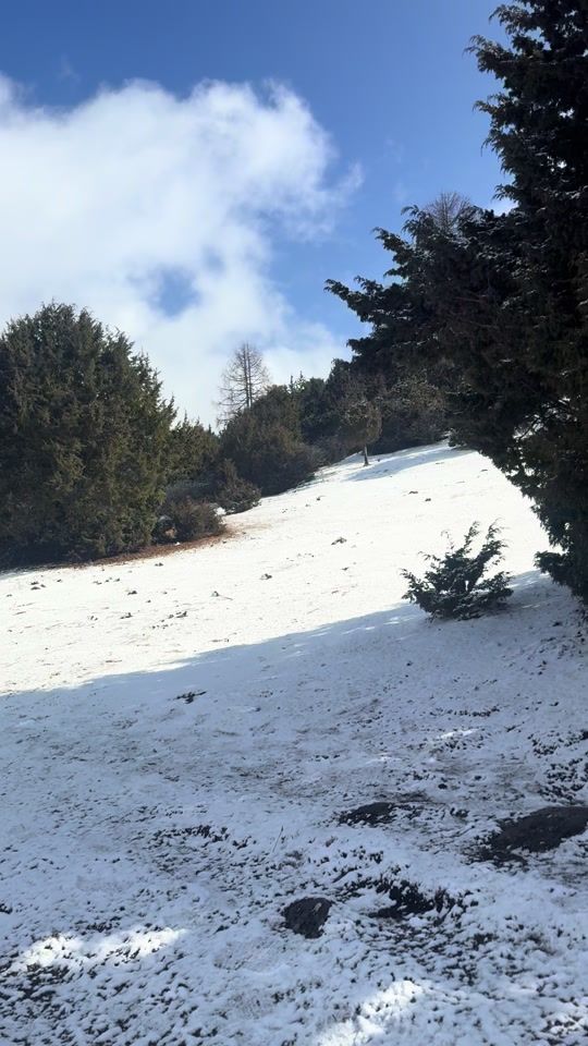 TikTok video thumbnail by dd03457