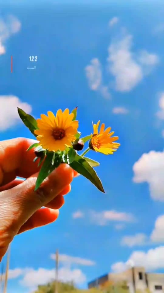 TikTok video thumbnail by ss___20251