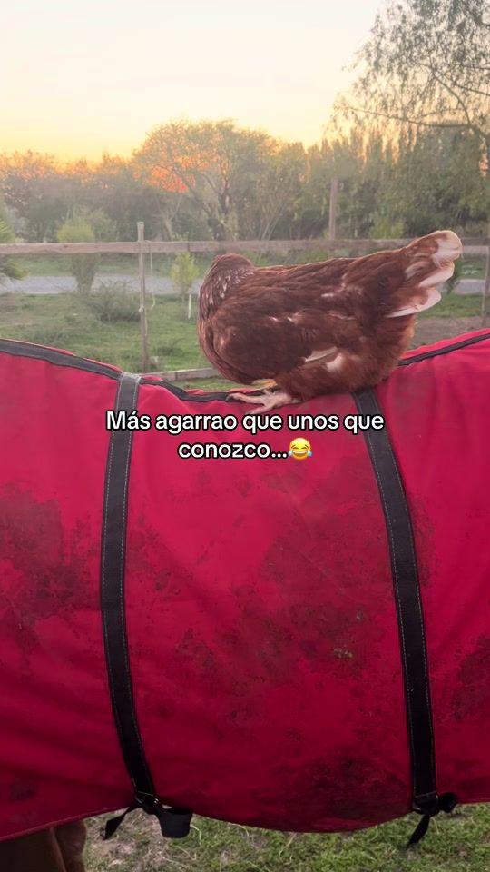 TikTok video thumbnail by _.baasstian._