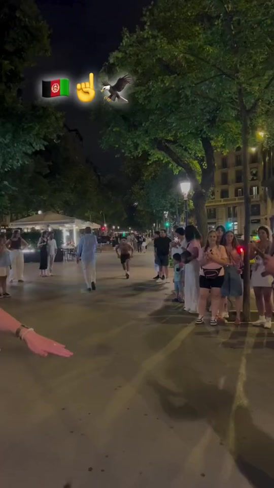 TikTok video thumbnail by my____f