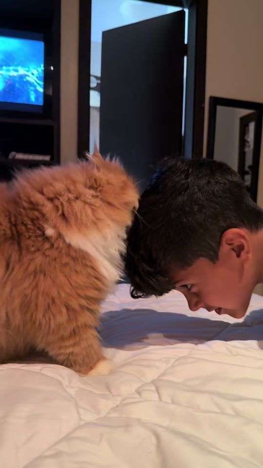 TikTok video thumbnail by malefotografia