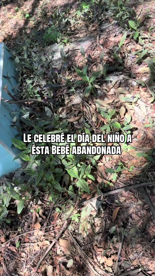 TikTok video thumbnail by el.limpia.tumbas