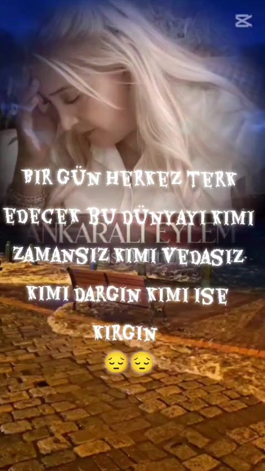 TikTok video thumbnail by ankaralieylem