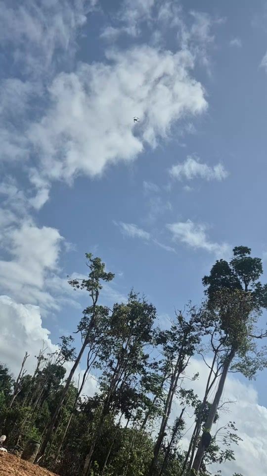 TikTok video thumbnail by up.tp0