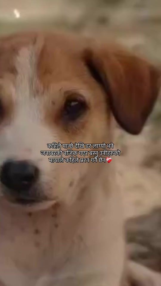 TikTok video thumbnail by samikshyaa.kshettri