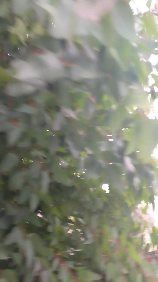 TikTok video thumbnail by zomra.1234