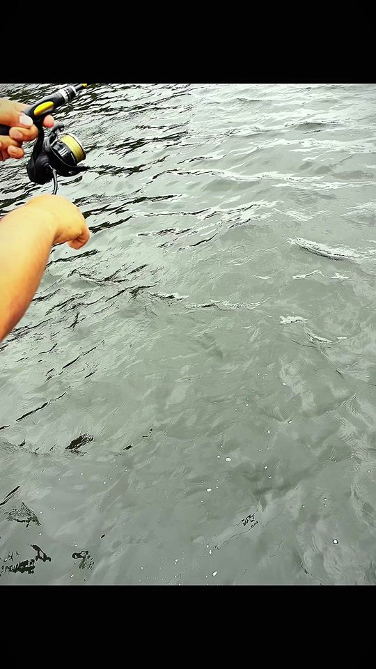 TikTok video thumbnail by fishingwithjd