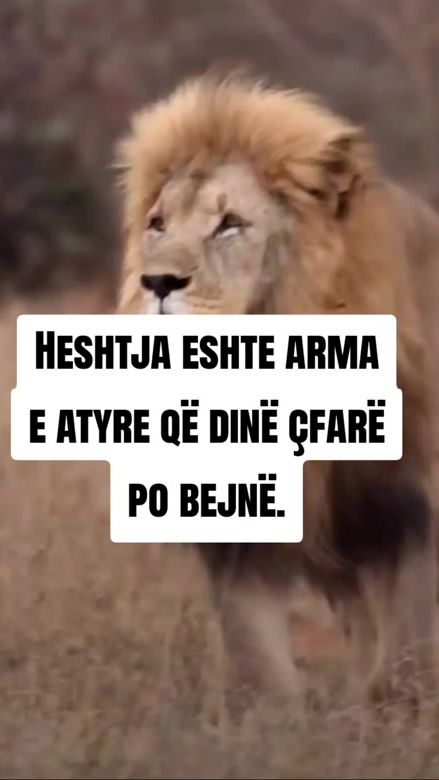 TikTok video thumbnail by thanje.per.jeten
