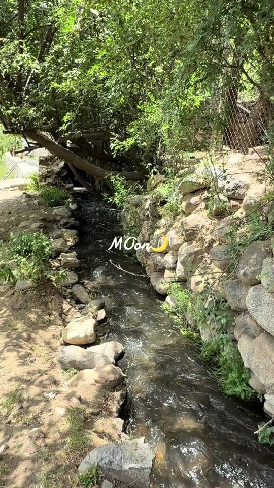 TikTok video thumbnail by moonhabibi1