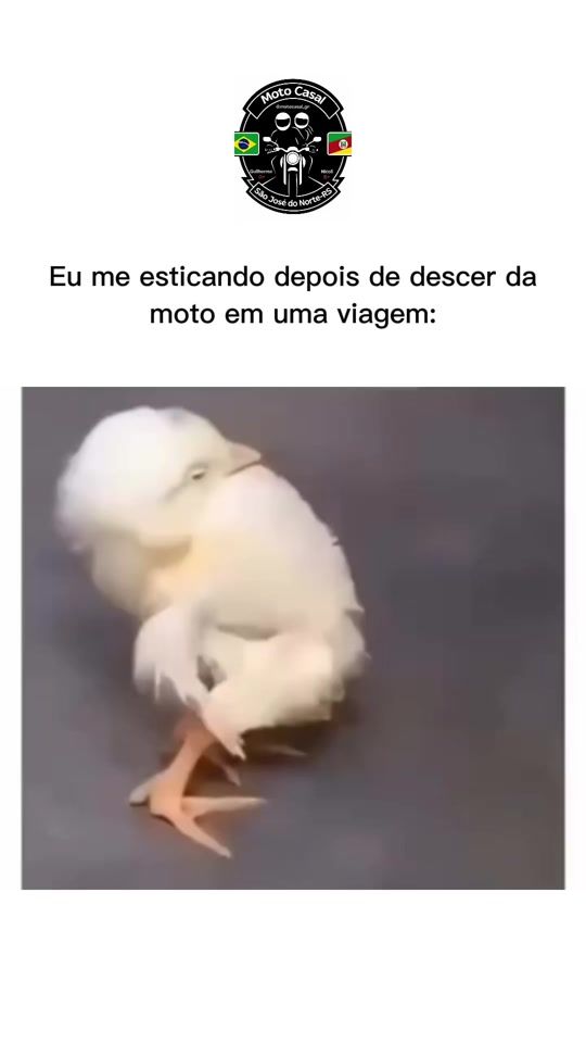 TikTok video thumbnail by motocasal_gn