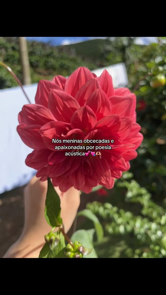 TikTok video thumbnail by republliique3