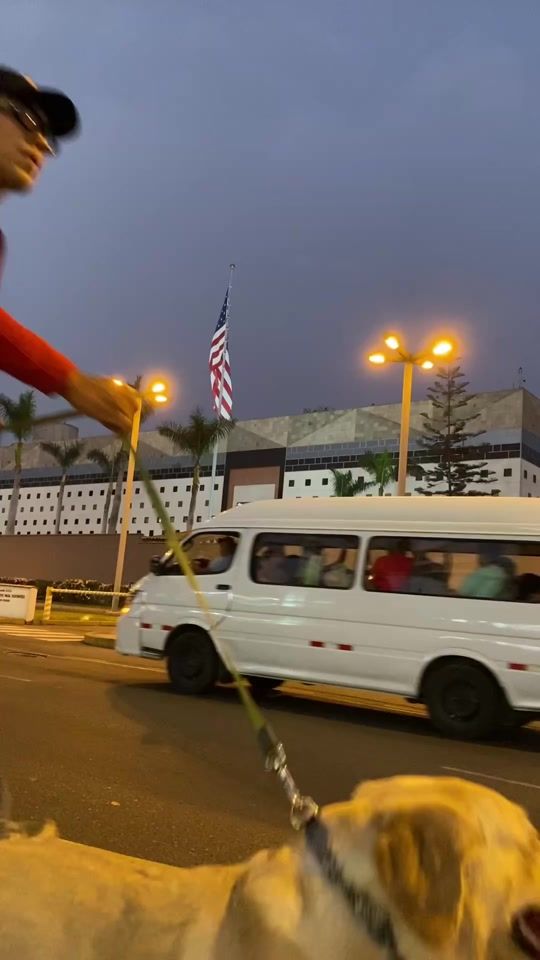 TikTok video thumbnail by elpaseadordeperras