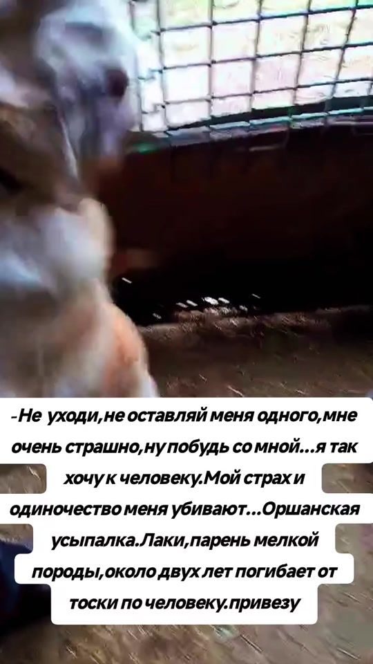TikTok video thumbnail by natalliarey