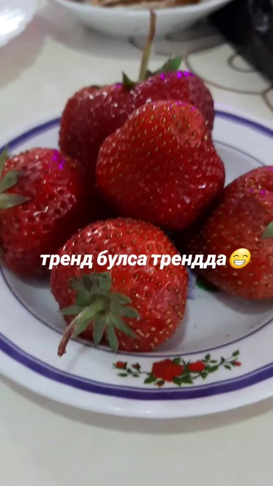 TikTok video thumbnail by aygulya38
