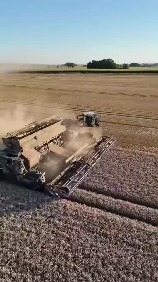 TikTok video thumbnail by hwmar526