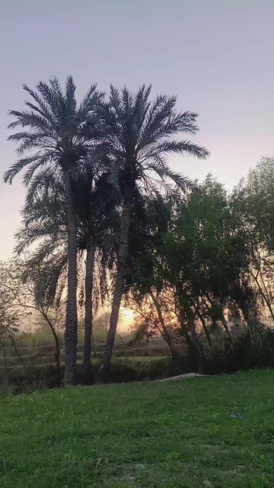 TikTok video thumbnail by zq8046