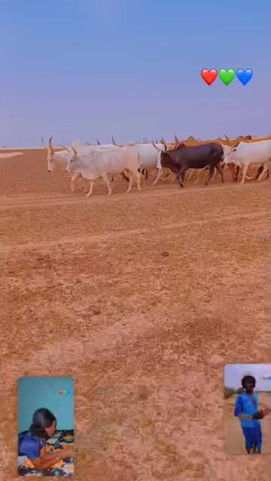 TikTok video thumbnail by ousmane.abou8
