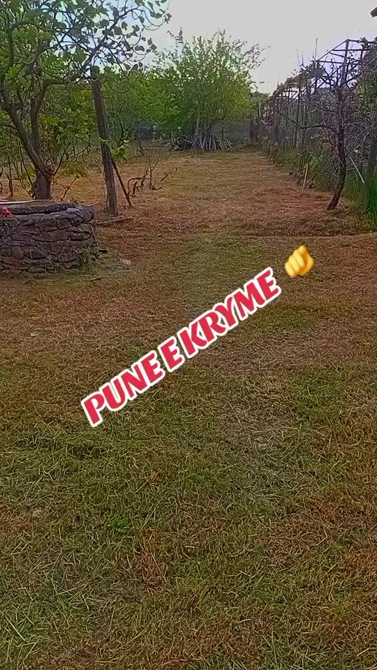 TikTok video thumbnail by mondi_088