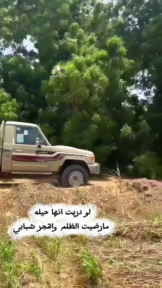 TikTok video thumbnail by abo_ali_gisi