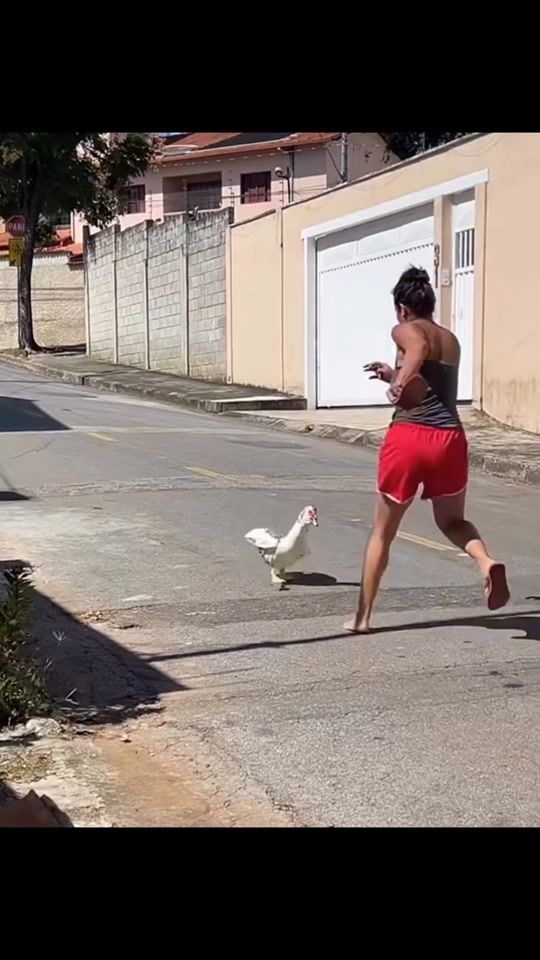 TikTok video thumbnail by nublinado