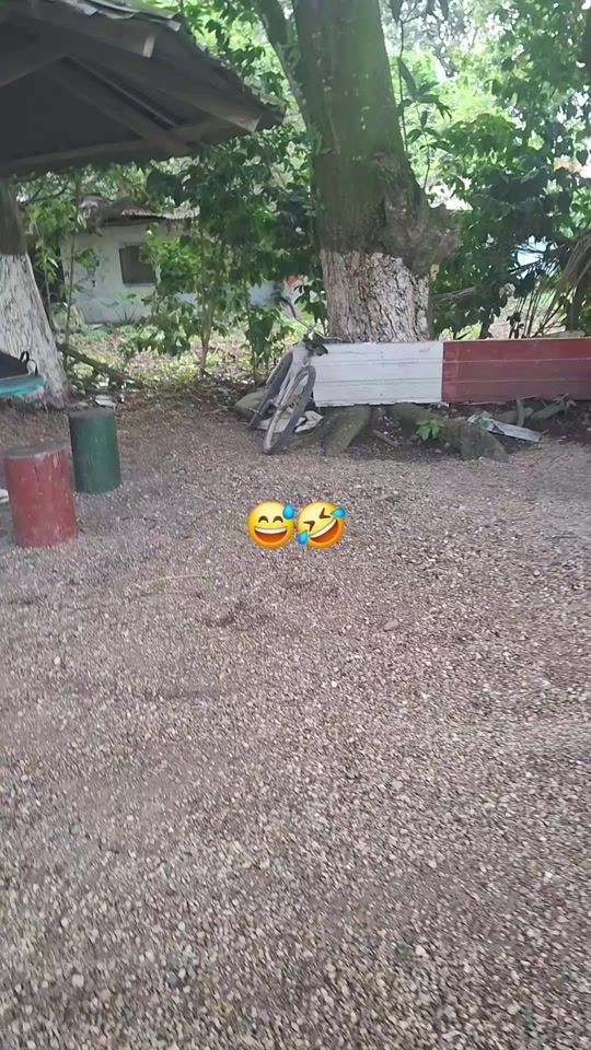 TikTok video thumbnail by byrontrigueros477