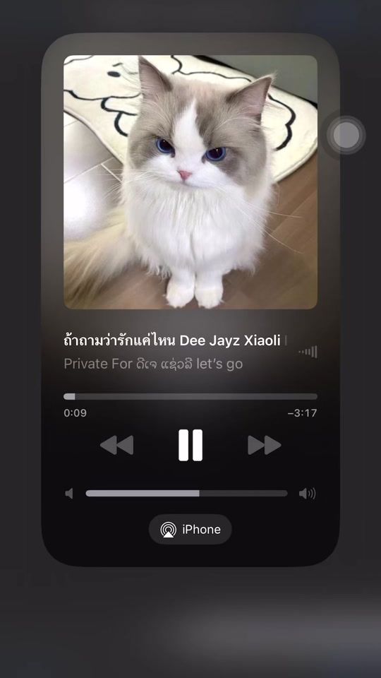 TikTok video thumbnail by djxiaoli1
