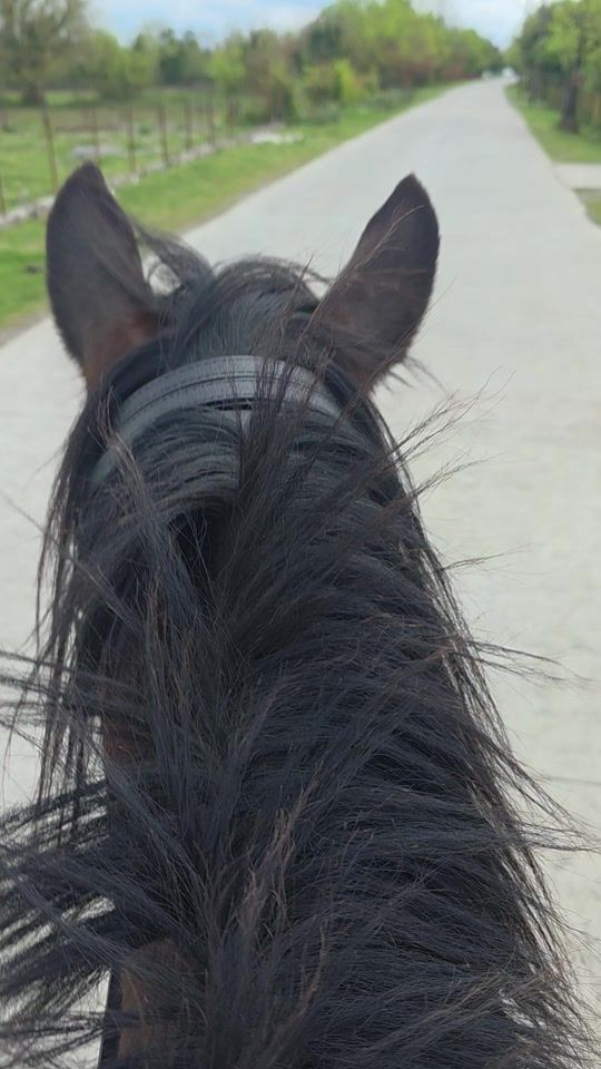 TikTok video thumbnail by bchdgfh1