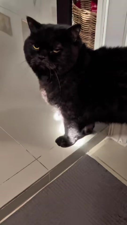 TikTok video thumbnail by kimnumchok._.jigsaw