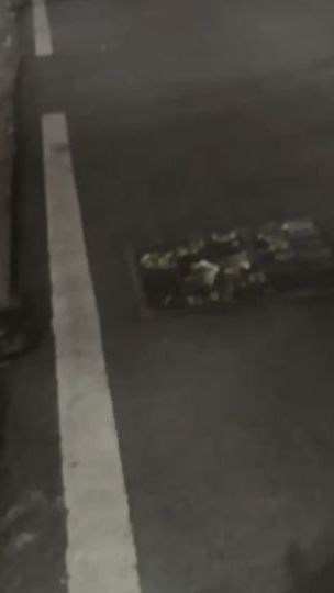 TikTok video thumbnail by zzcharge