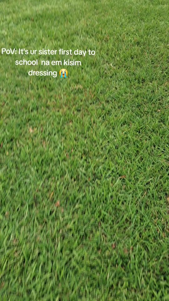 TikTok video thumbnail by whoslaxii