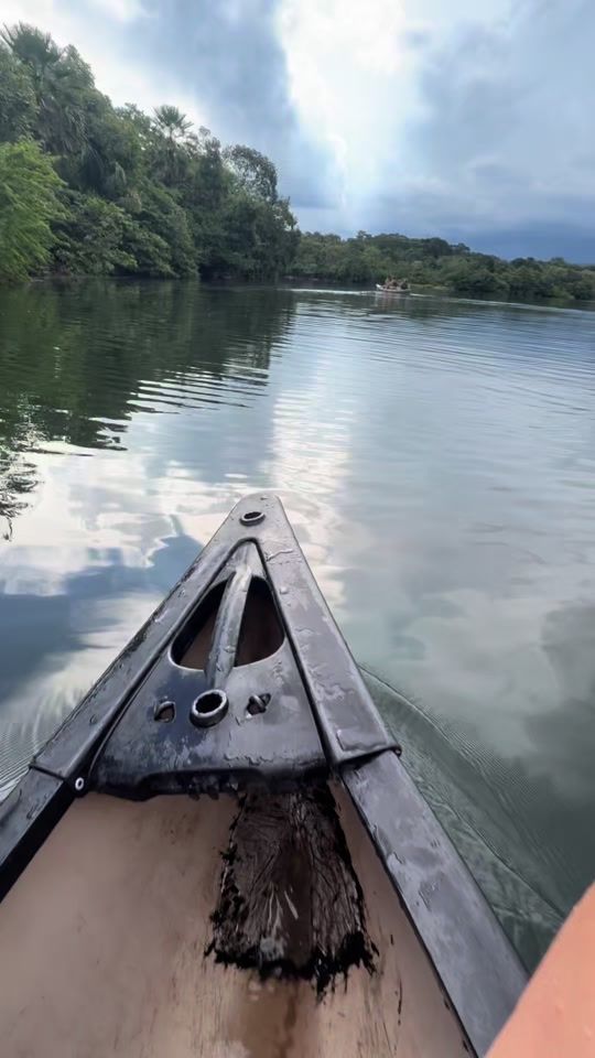 TikTok video thumbnail by davidfarellparada