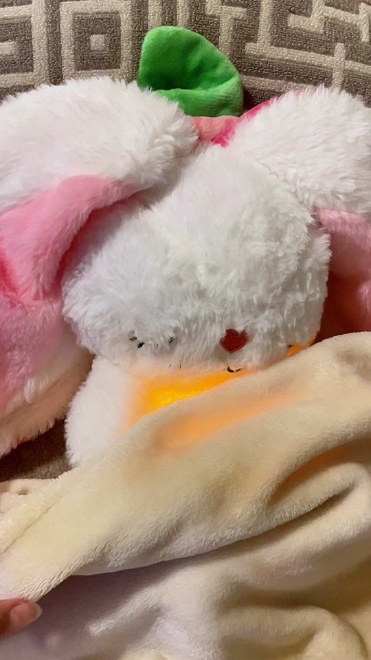 TikTok video thumbnail by the_sleepbunny