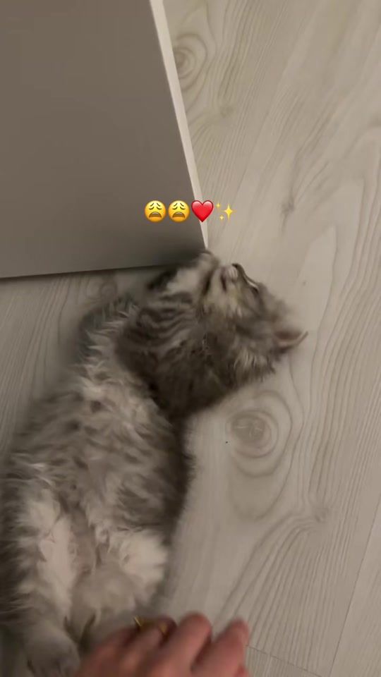 TikTok video thumbnail by mirazerb