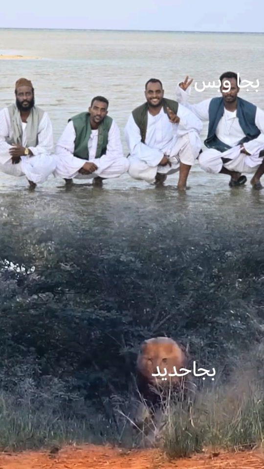 TikTok video thumbnail by m_deen1