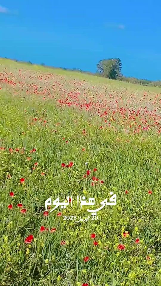 TikTok video thumbnail by meriammreiamti_