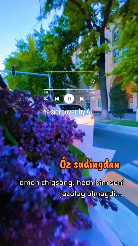 TikTok video thumbnail by aura.mentality_