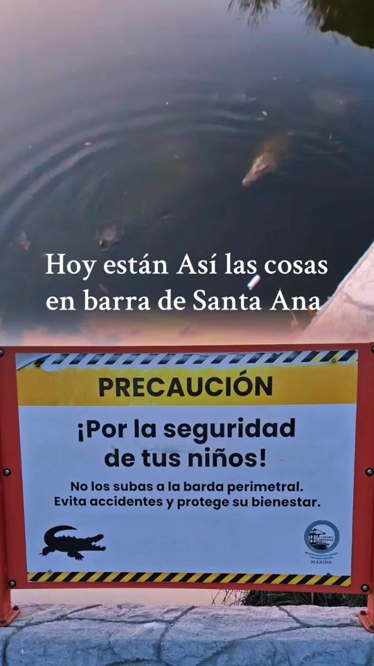 TikTok video thumbnail by coquitobela