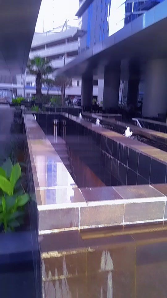 TikTok video thumbnail by user99452576