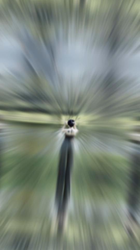 TikTok video thumbnail by zynn.n271
