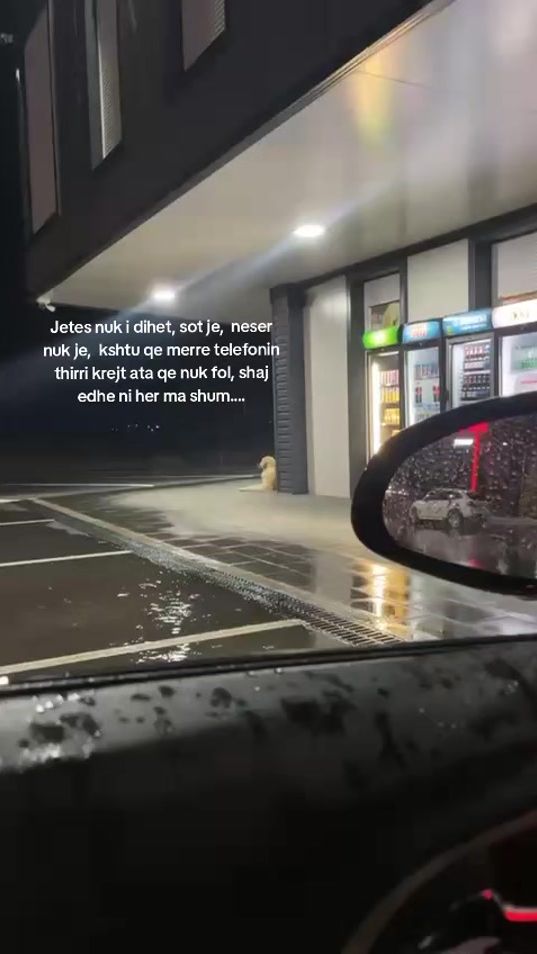 TikTok video thumbnail by thesilenceofsadness