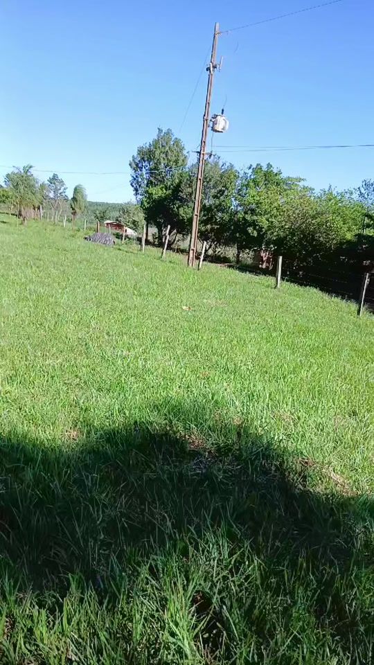 TikTok video thumbnail by elmichel_23