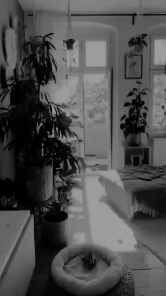 TikTok video thumbnail by mstaf718