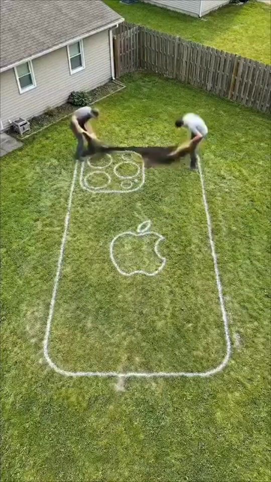 TikTok video thumbnail by toni___on___fire