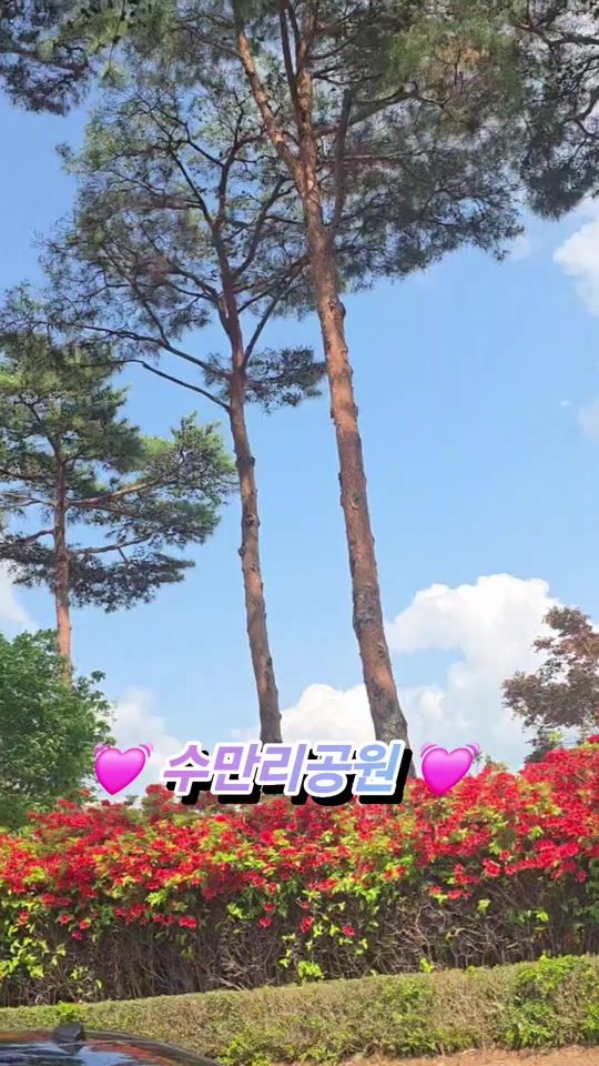 TikTok video thumbnail by tv4rs