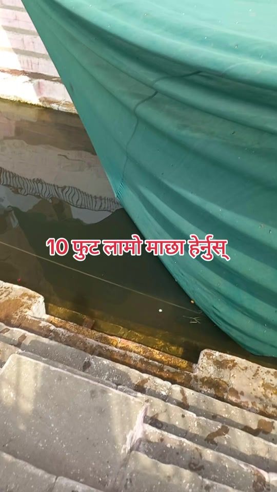 TikTok video thumbnail by aman.shiva