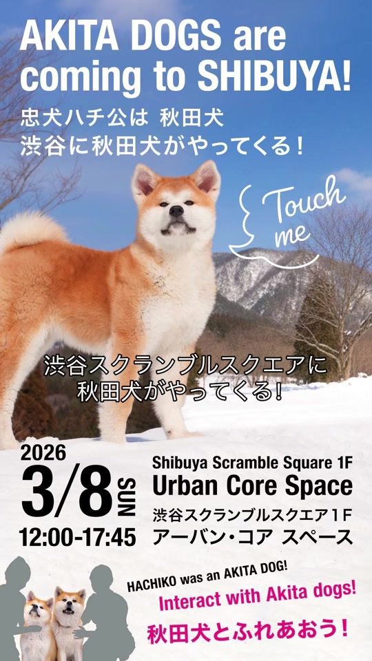 TikTok video thumbnail by mutsu_mofumofu