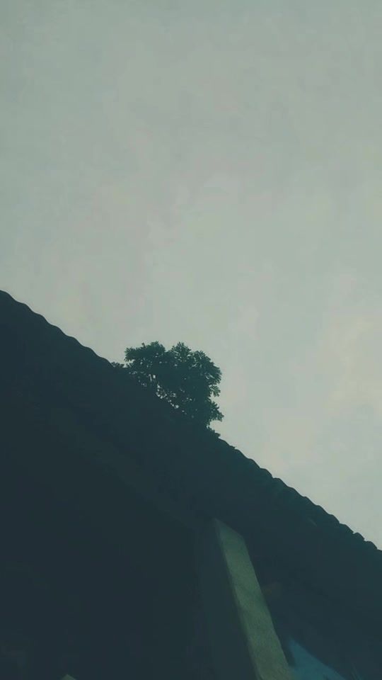 TikTok video thumbnail by forhadx0779