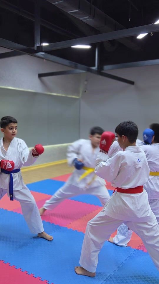 TikTok video thumbnail by coach_adatykarate