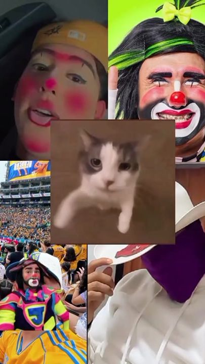 TikTok video thumbnail by fernaxeigeb